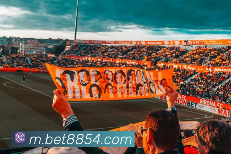 bet365comAPP 封面图